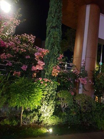 Yildiz Restaurant